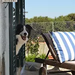 Casalinho De Santo António Bed and breakfast 3*