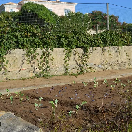 Casalinho De Santo Antonio Bed & Breakfast