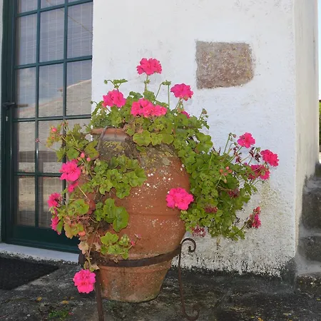 Casalinho De Santo Antonio Bed & Breakfast Sintra