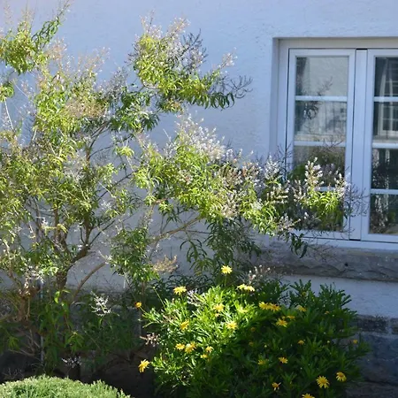 Casalinho De Santo Antonio Bed & Breakfast Sintra