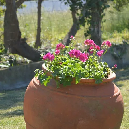 Bed & Breakfast Casalinho De Santo Antonio Sintra