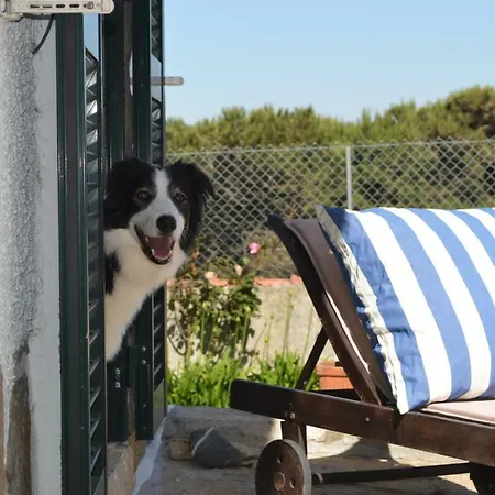 Casalinho De Santo Antonio Bed & Breakfast 3*