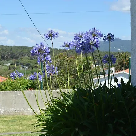 Casalinho De Santo Antonio 3*