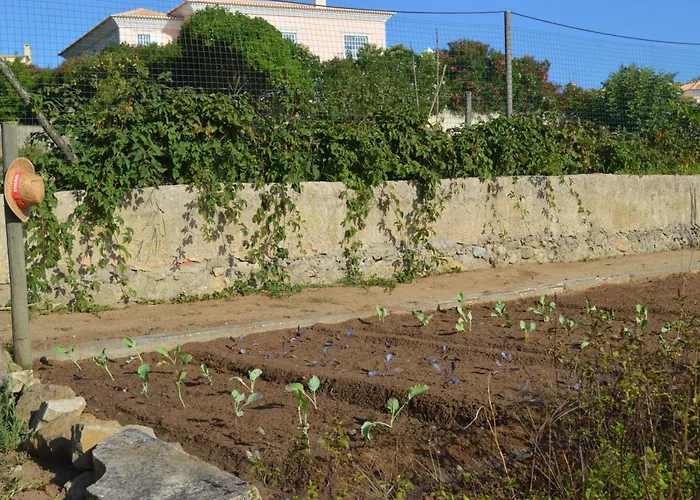 Casalinho De Santo Antonio Nocleg ze śniadaniem